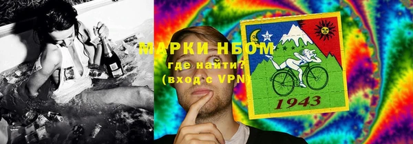 шишки Белокуриха